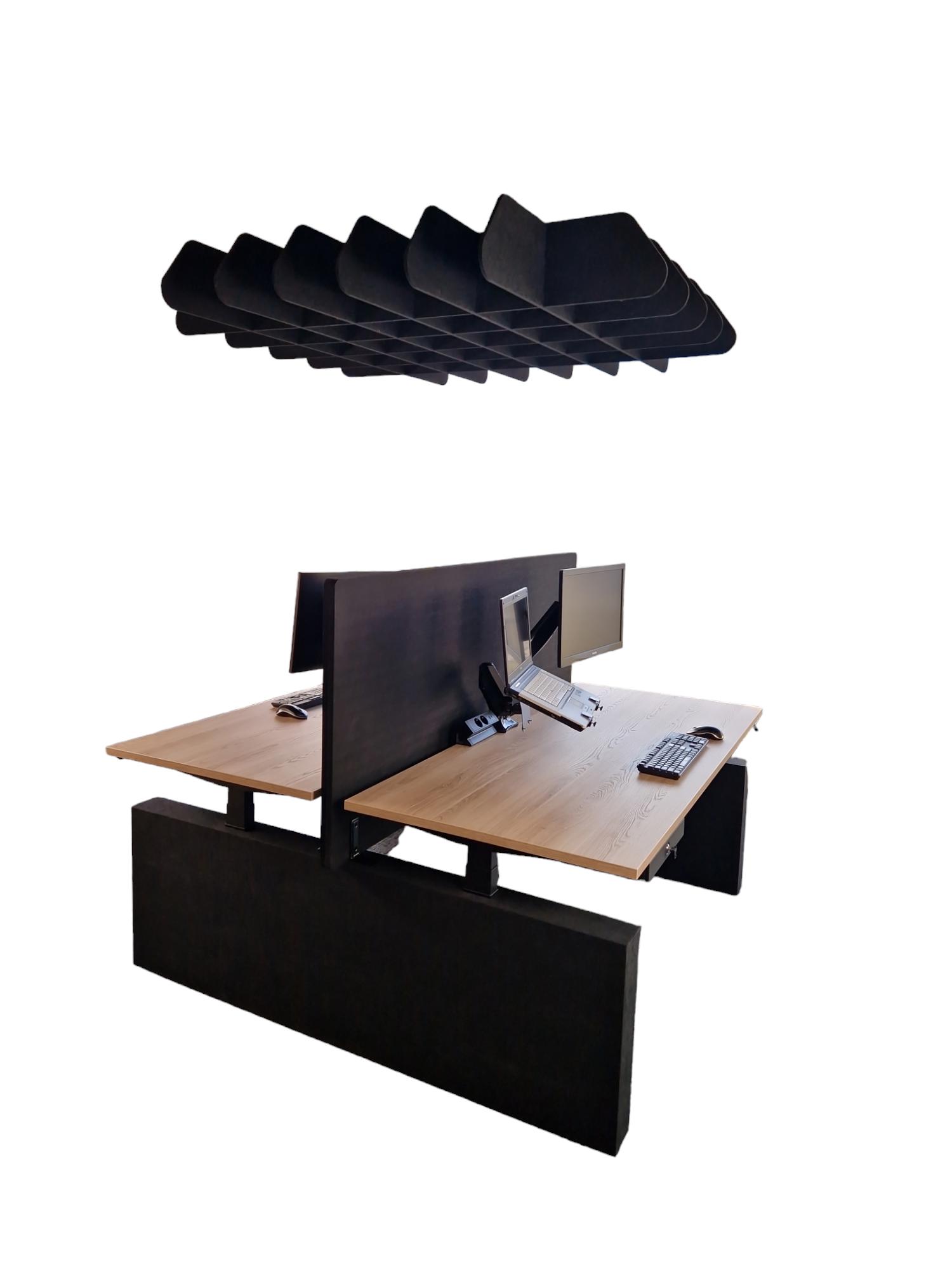 Akoestische duo bureau NPR met Wang poot