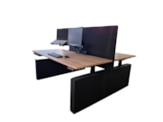 Akoestisch en elektrisch duo bureau NPR met Wang poot