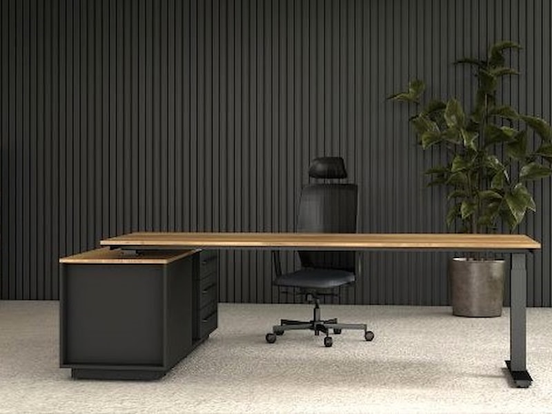 CEO Elektrisch directiebureau 224x180 CEO Elektrisch directiebureau 224x180