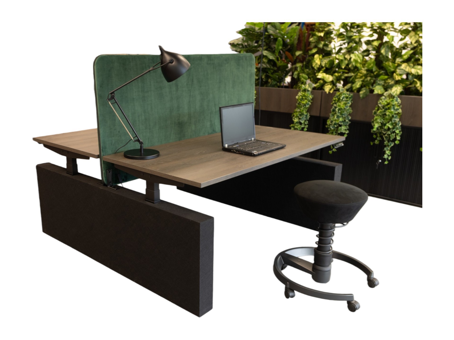 Duo bureau elektrisch NPR akoestische wangpoten