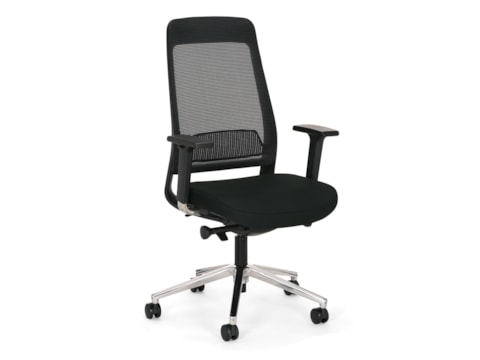 Ergonomische bureaustoel Ledderra Van Cas Ergonomische bureaustoel Ledderra Van Cas