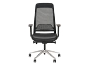 Ergonomische bureaustoel Ledderra Van Cas