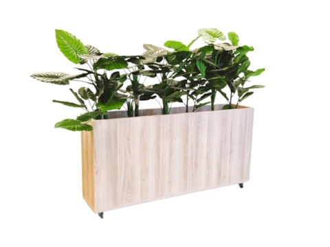Verrijdbare plantenbak 160 cm Verrijdbare plantenbak 160 cm