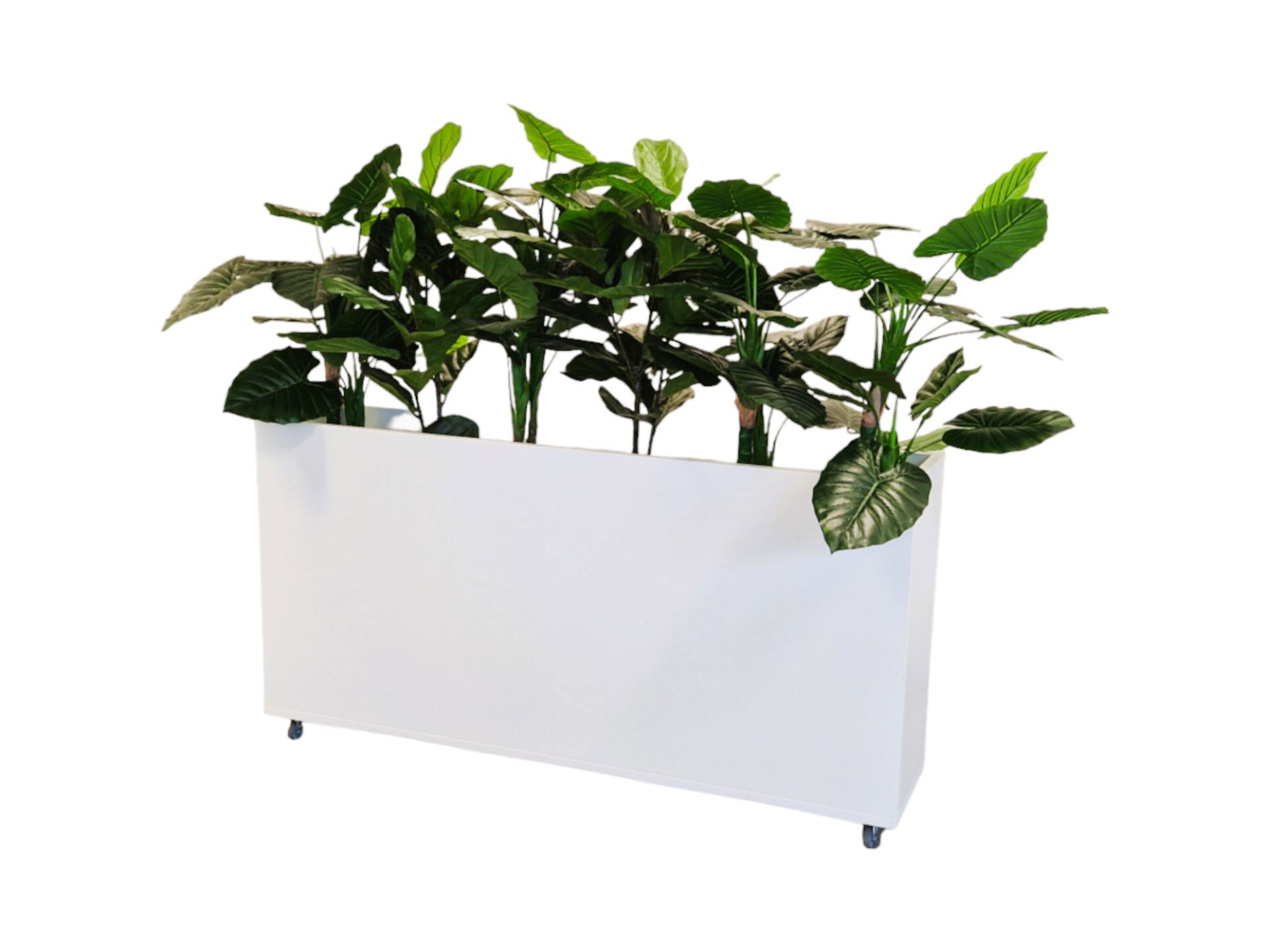 Verrijdbare plantenbak 160 cm