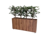 Verrijdbare plantenbak 160 cm